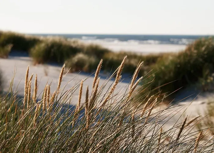 Mieszkanie Wakacyjne * Smołdzino