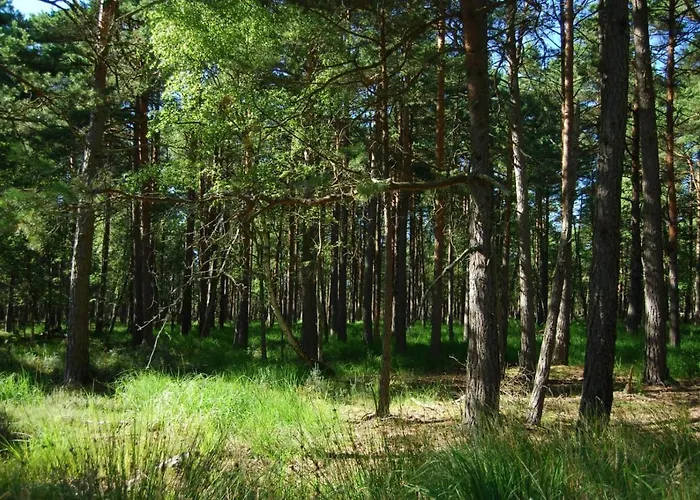 Mieszkanie Wakacyjne Smołdzino